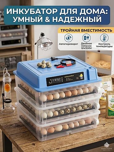 Домашний инкубатор с умным управлением и тройной вместимостью - 3