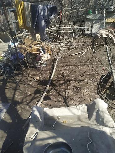 Уборка территории: Уборка территории, Уборка двора и сада — 4