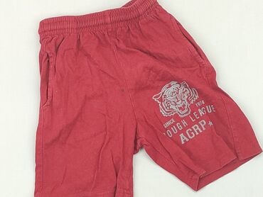 Trousers: Shorts for men, S (EU 36), condition - Good