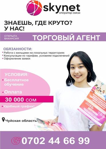 Skynet Telecom: В "Скайнет Телеком" требуются агенты прямых продаж