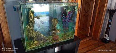 akvarium 90x40x50: Dördbucaq akvarium, Boş, 120 l, Ödənişli çatdırılma, Ünvandan götürmə