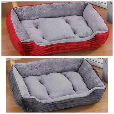 Зоотовары: ПРОДАЮ КОШАЧЬЮ МЯТУ(АНТИСТРЕСС),ПОРАДУЙТЕ СВОГО КОТИКА ТАКОЙ — 30