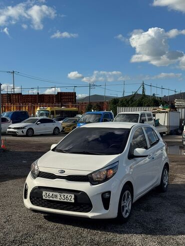 решетка ауди а6: Kia Morning: 2019 г., 1 л, Автомат, Бензин, Хетчбек