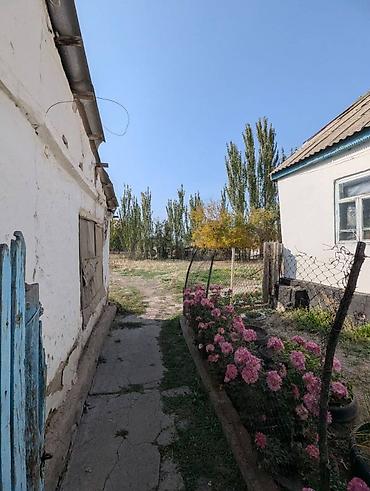та зона: 23 соток, Для строительства, Красная книга, Тех паспорт, Договор купли-продажи — 6