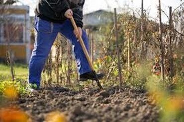 гостиница бишкек кызыл аскер: Требуются 2-3 человека для переноса грунта на участке, работа сдельная