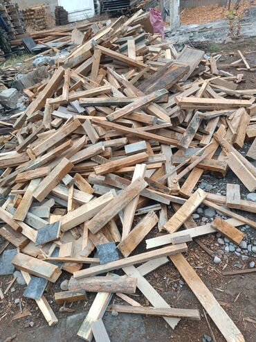 где купить компост для шампиньонов: Отун сатылат 1 Портер 5000 минден стройкадан чыккан курук рейкалар