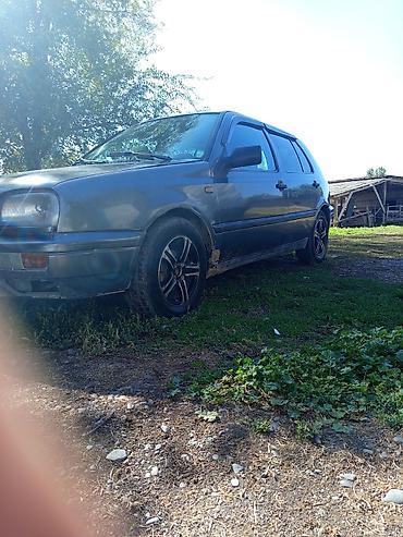 Volkswagen: Volkswagen Golf: 1997 г., 1.6 л, Хэтчбэк — 7