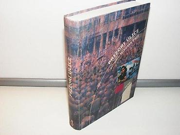 cd adamo: Prizori ulice nikolas fajfplaniranje identitet i kontrola u javnom — 1