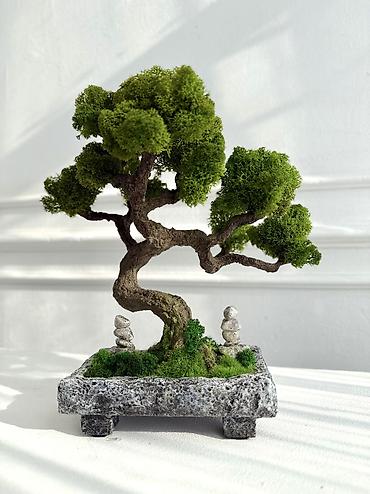 Декоративные цветы: В переводе с японского Бонсай означает «дерево, выращенное в блюде» — 63