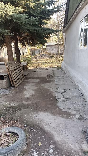 гаражи металлические разборные бу: Продаётся участок с большим зелёным двором и взрослыми деревьями. На — 4