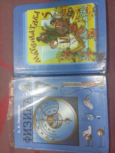 книги математика: Физика 7 класс А.В.Перышкин
математика 5 класс Н.Я.Валенкин