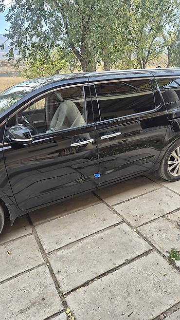 форсунка гбо 4 поколения: Kia Carnival: 2019 г., 2.2 л, Дизель, Минивэн — 2