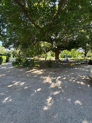 Продажа квартир: 3 комнаты, 46 м², Индивидуалка, Косметический ремонт — 5