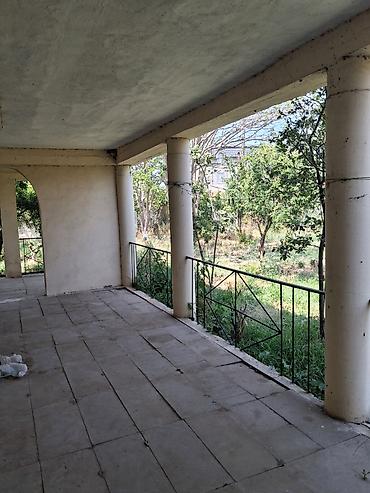 Torpaq: 12 sot, Mülkiyyətçi, Kupça (Çıxarış) — 2