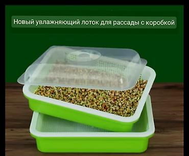 Другие товары для кухни: Лотки для проращивания:
маленький черный 300с
большой прозрачный 400с — 6