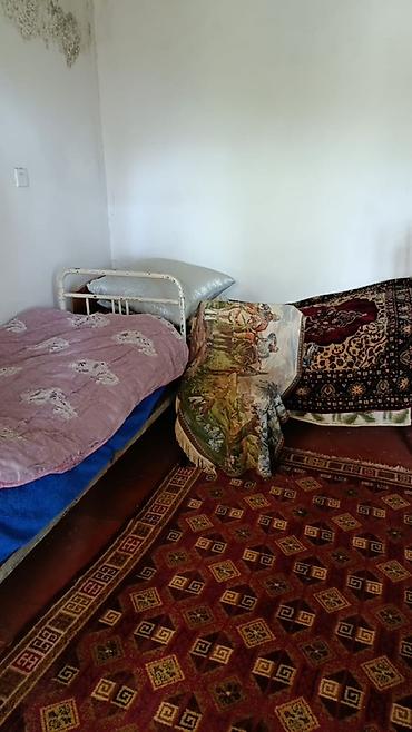 quba evlər günlük: Gundelik 5azn, 3 otaq var. Yeni Suraxanıda heyet evi ancag oğlanlara — 2