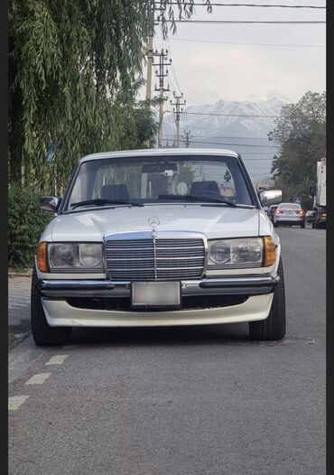 мусс: Mercedes-Benz W123: 1983 г., 3 л, Механика, Дизель, Седан