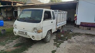 мото мини: Hyundai Porter (легкий бортовой грузовик — 1