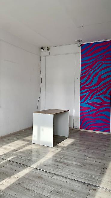 Аренда офисов: Сдаю Аренда офисов, 100 м², С видом на горы, С отдельным входом, С отдельным сан узлом — 4