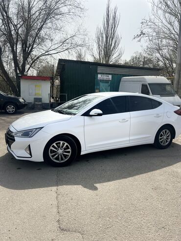 Hyundai: Hyundai Avante: 2019 г., 1.6 л, Автомат, Бензин