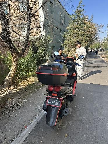 мото самурай: Продается скутер самурай 165куб все документы есть вложения не имеются — 2