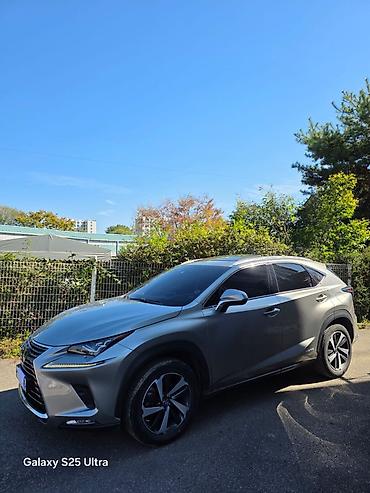 lexus lx 570 2019: Lexus NX: 2020 г., Гибрид, Кроссовер — 6