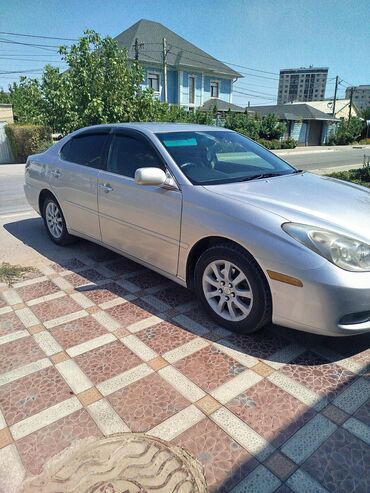 амортизаторы на тайота виндом 30: Toyota Windom: 2003 г., 3 л, Автомат, Бензин, Седан