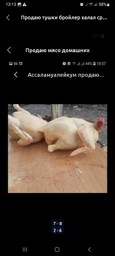 односпальная кровать с матрасом бишкек: Бройлер :, 2 кг, 3 кг