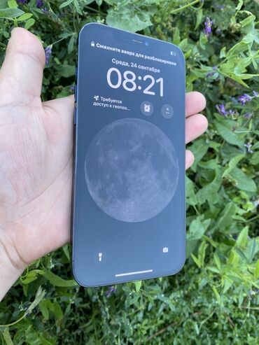 Apple iPhone: IPhone 12 Pro Max, Б/у, 256 ГБ, Pacific Blue, Зарядное устройство, Чехол, 77 %