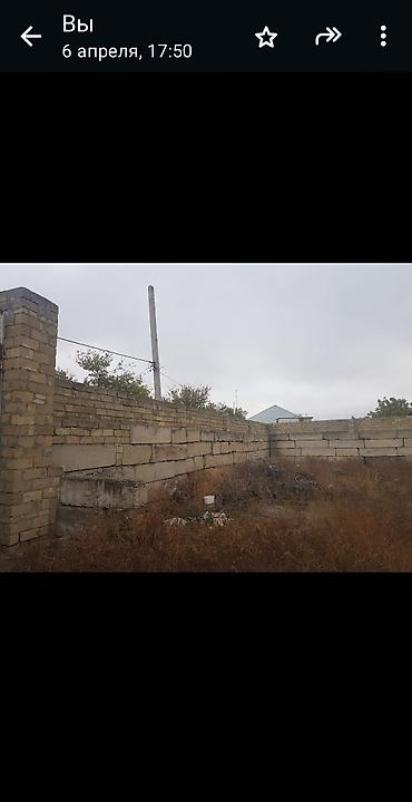 ferma satan: 16 sot, Biznes üçün, Mülkiyyətçi, Kupça (Çıxarış), Bələdiyyə — 6