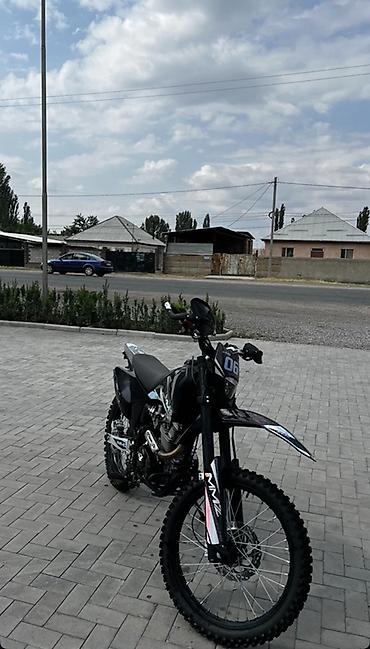 Эндуро 250 куб. см, Бензин, Взрослый, Новый at lalafo.kg Эндуро 250 куб. см, Бензин, Взрослый, Новый