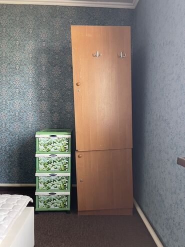 шкаф двустворчатый для одежды: Кийим салуучу шкаф, Түз, Башка материал