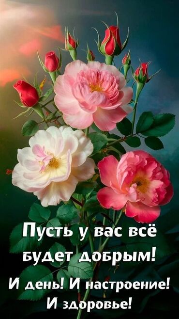 аренда сдаю: 19 м², С мебелью