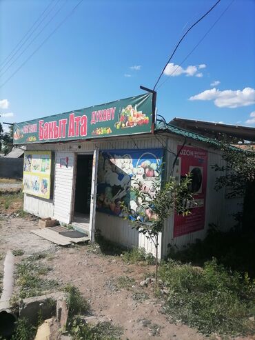 индюк самец купить: 6/4метра