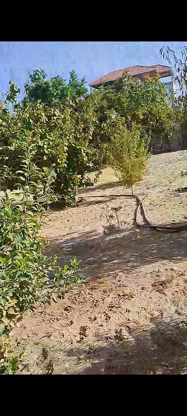 Həyət evləri və villaların satışı: Satılır: həyət evi və bağ sahəsi - Tikinti: daş divarlı, metal qapı; — 5