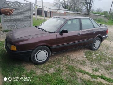 мухабойка на ауди: Audi 80: 1988 г., 1.8 л, Механика, Бензин
