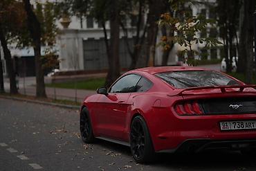 ford rapter: Ford GT: 2018 г., Автомат, Бензин, Купе — 5