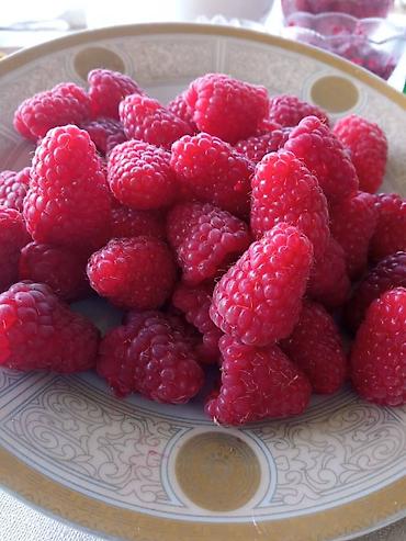 Фрукты и ягоды: Принимаем заказы на рассаду сорт Шапка Мономаха долгоиграющий — 4