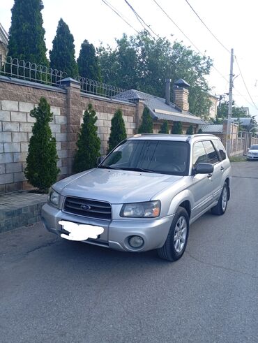 forester sf: Subaru Forester: 2005 г., 2 л, Автомат, Бензин, Седан