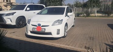 машинист башенного крана: Toyota Prius: 2009 г., 1.8 л, Вариатор, Гибрид, Хэтчбэк
