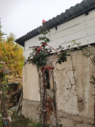 цена минеральных удобрений: Штамбовой розы ; высота от 130-300 см цена от 0 сомов пока . А