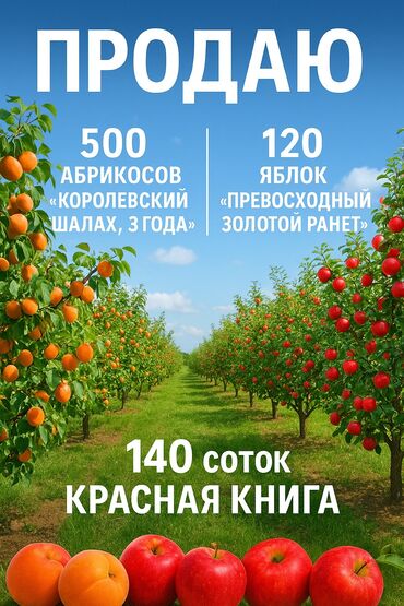 продается дом село ленинское: 140 соток, Бизнес үчүн, Кызыл китеп