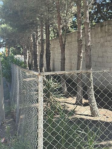 Torpaq sahələrinin satışı: Kənd təsərrüfatı, Kupça (Çıxarış), Texniki pasport — 22