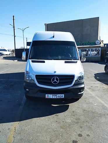 чернитель одежды: Бус на заказ Пассажирские микроавтобусы Mercedes‑Benz Sprinter — 1