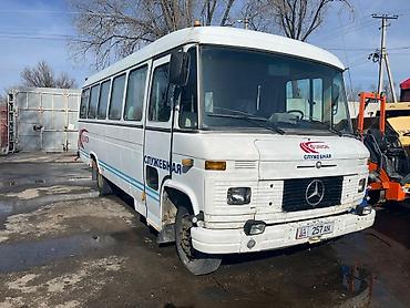 Mercedes-Benz : 1988 г., 3 л, Механика, Дизель