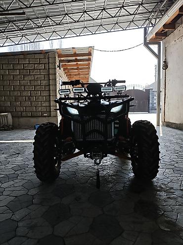 Квадроциклы: Квадроцикл Бензин, 280 куб. см, Взрослый — 1