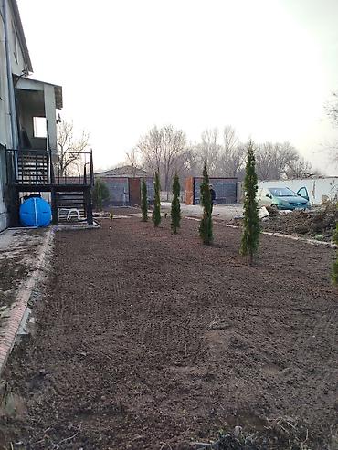 Газон: Сеем газон, Поссев газон, Газон себебиз 🌱 под ключ 🏡по городу бишкек — 23