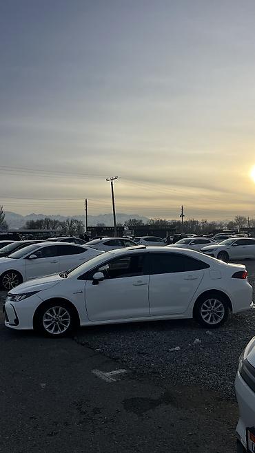 Toyota: Toyota Corolla: 2022 г., 1.8 л, Вариатор, Гибрид, Седан — 3