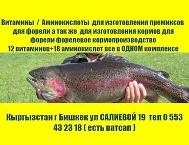 корм куры: Витамины для форели - концентрат - 12 витаминов +18 аминокислот