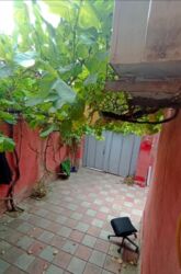 xalqlar dostluğu evlər: Masazır dairəsində əsas yola yaxın Addelni həyət evində Bəy otaq